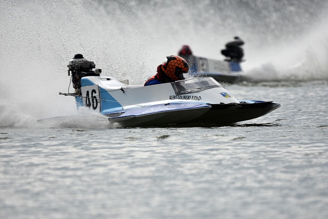 不仅是猛龙 不仅是猛龙