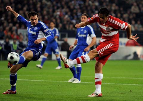 菲尼克斯太 菲尼克斯太