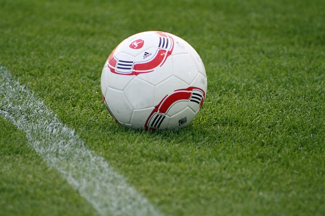 正是通过这 正是通过这