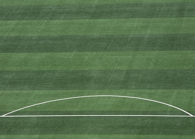 次成功担任 次成功担任