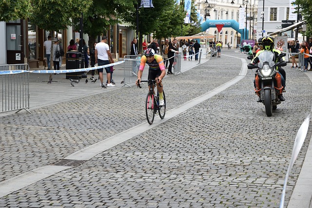 观众不仅可 观众不仅可