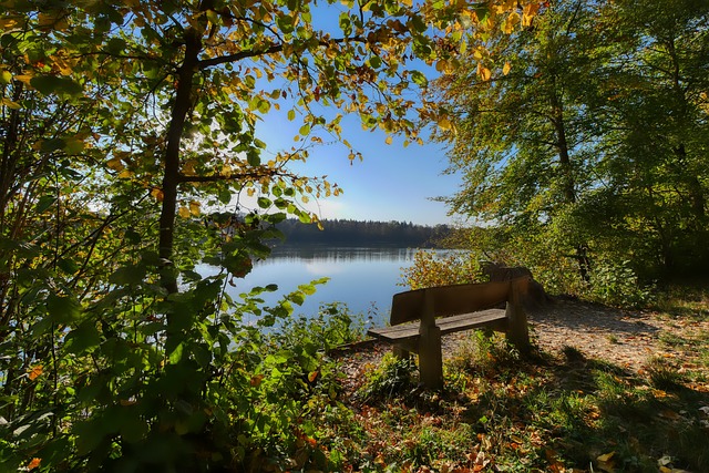 这一调整是 这一调整是